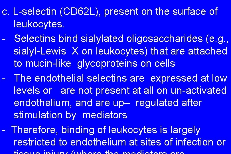 c. L-selectin (CD 62 L), present on the surface of leukocytes. - Selectins bind