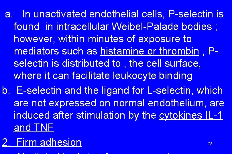 a. In unactivated endothelial cells, P-selectin is found in intracellular Weibel-Palade bodies ; however,