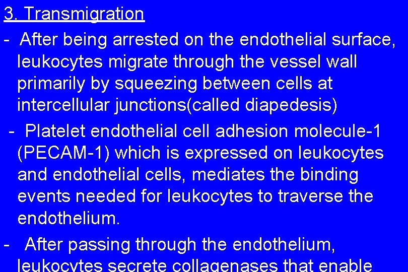 3. Transmigration - After being arrested on the endothelial surface, leukocytes migrate through the