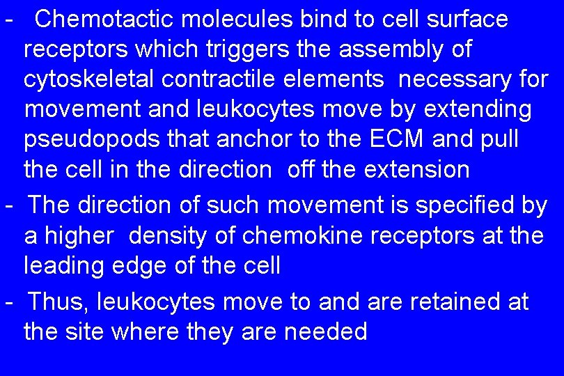 - Chemotactic molecules bind to cell surface receptors which triggers the assembly of cytoskeletal