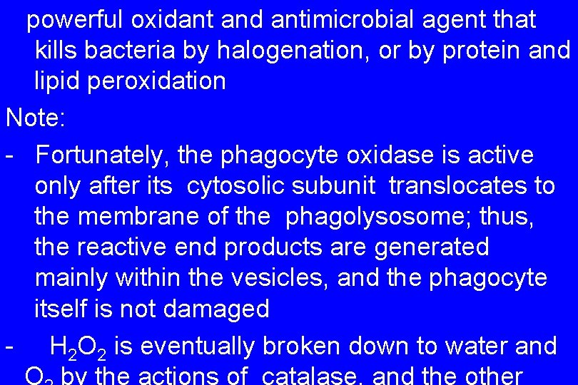 powerful oxidant and antimicrobial agent that kills bacteria by halogenation, or by protein and