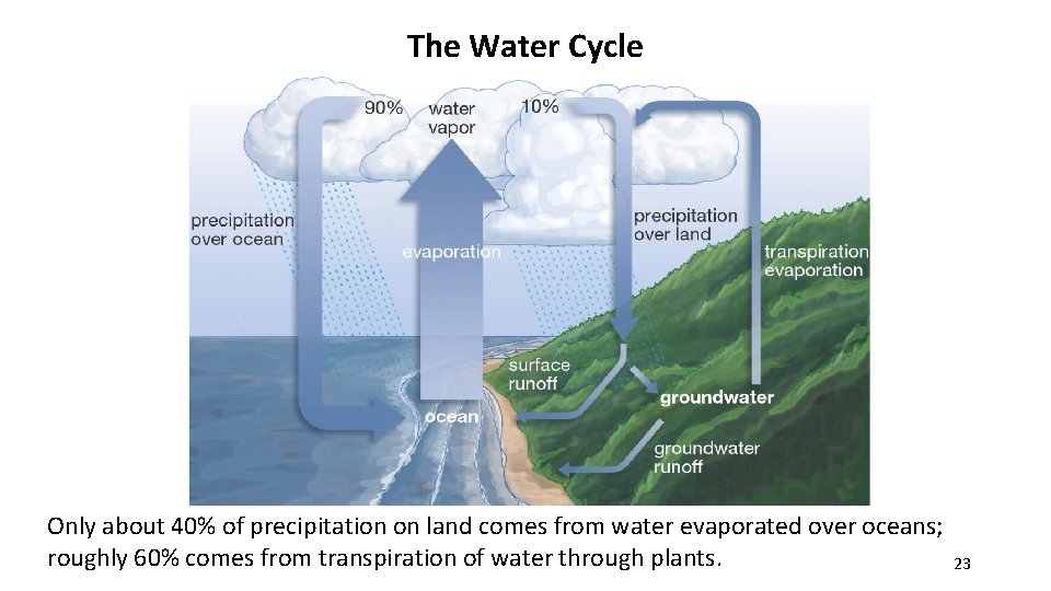 The Water Cycle Only about 40% of precipitation on land comes from water evaporated