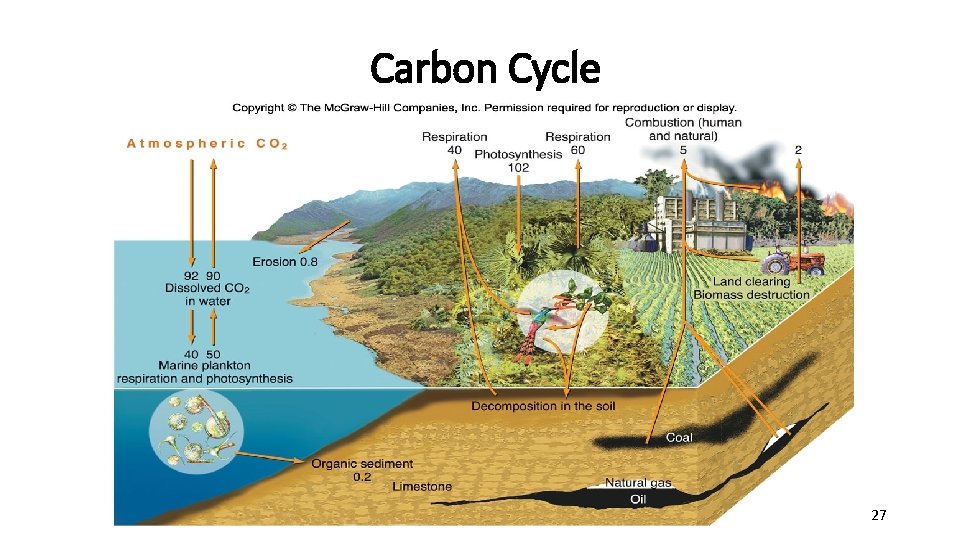Carbon Cycle 27 