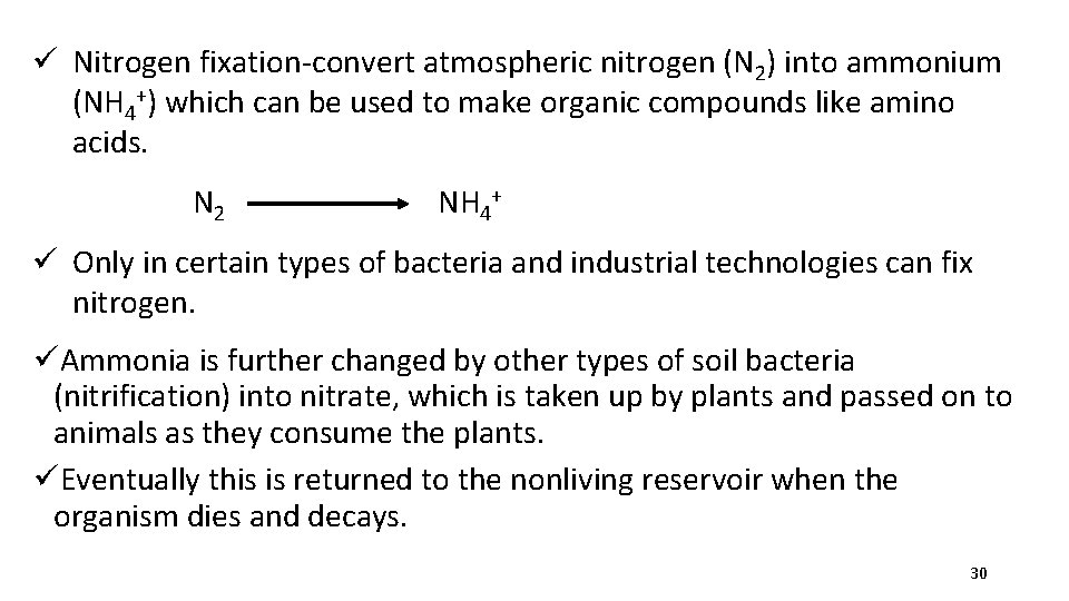 ü Nitrogen fixation-convert atmospheric nitrogen (N 2) into ammonium (NH 4+) which can be