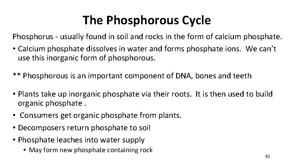 The Phosphorous Cycle Phosphorus - usually found in soil and rocks in the form