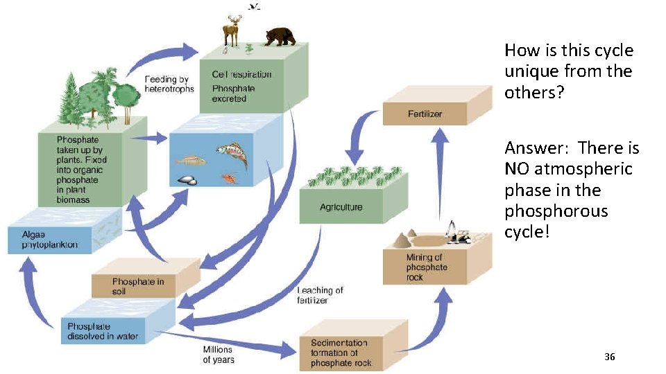 How is this cycle unique from the others? Answer: There is NO atmospheric phase