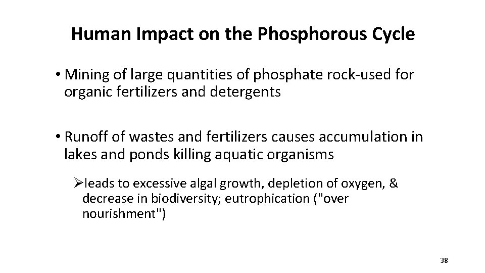 Human Impact on the Phosphorous Cycle • Mining of large quantities of phosphate rock-used