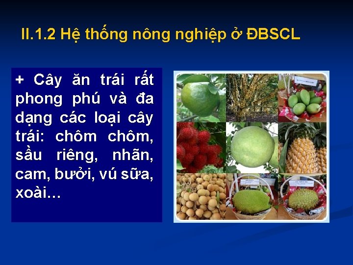 II. 1. 2 Hệ thống nông nghiệp ở ĐBSCL + Cây ăn trái rất