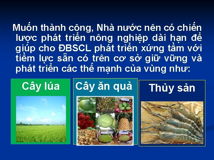  Muốn thành công, Nhà nước nên có chiến lược phát triển nông nghiệp