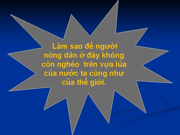  Làm sao để người nông dân ở đây không còn nghèo trên vựa