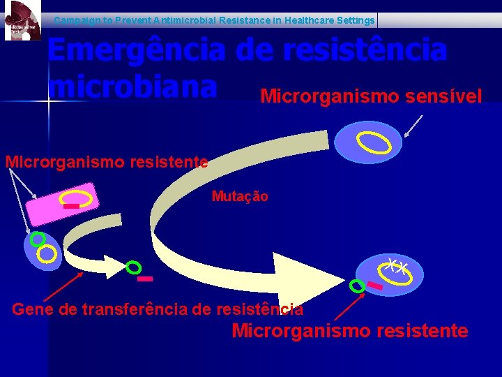 Campaign to Prevent Antimicrobial Resistance in Healthcare Settings Emergência de resistência microbiana Microrganismo sensível