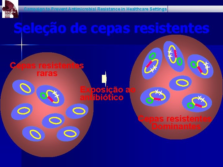 Campaign to Prevent Antimicrobial Resistance in Healthcare Settings xx Seleção de cepas resistentes xx