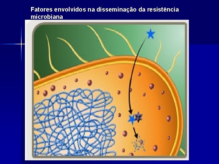 Fatores envolvidos na disseminação da resistência microbiana 