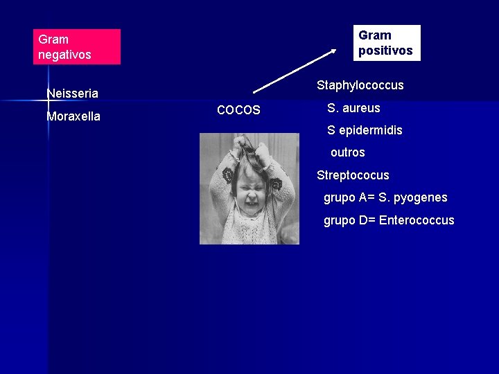 Gram positivos Gram negativos Neisseria Moraxella Staphylococcus cocos S. aureus S epidermidis outros Streptococus