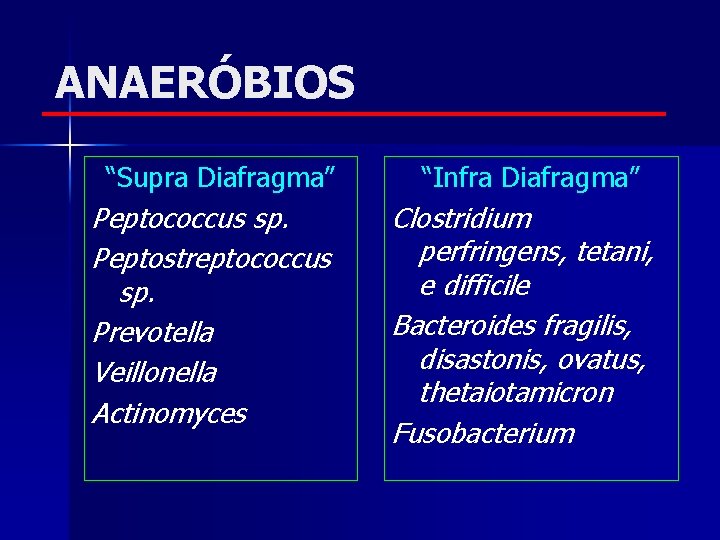 ANAERÓBIOS “Supra Diafragma” Peptococcus sp. Peptostreptococcus sp. Prevotella Veillonella Actinomyces “Infra Diafragma” Clostridium perfringens,