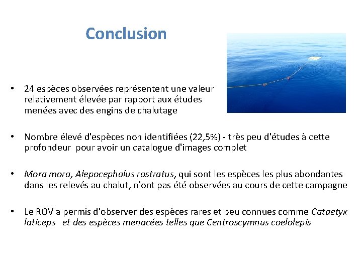 Conclusion • 24 espèces observées représentent une valeur relativement élevée par rapport aux études