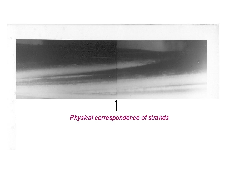 Physical correspondence of strands 