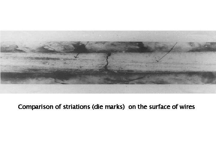 Comparison of striations (die marks) on the surface of wires 