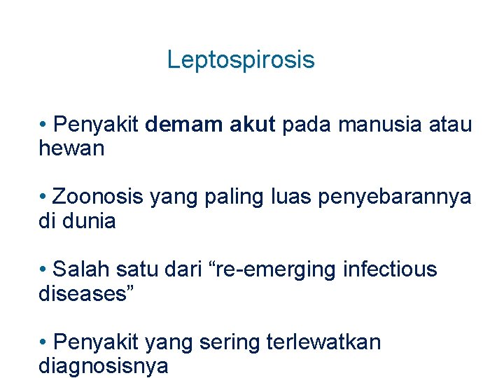 Leptospirosis • Penyakit demam akut pada manusia atau hewan • Zoonosis yang paling luas