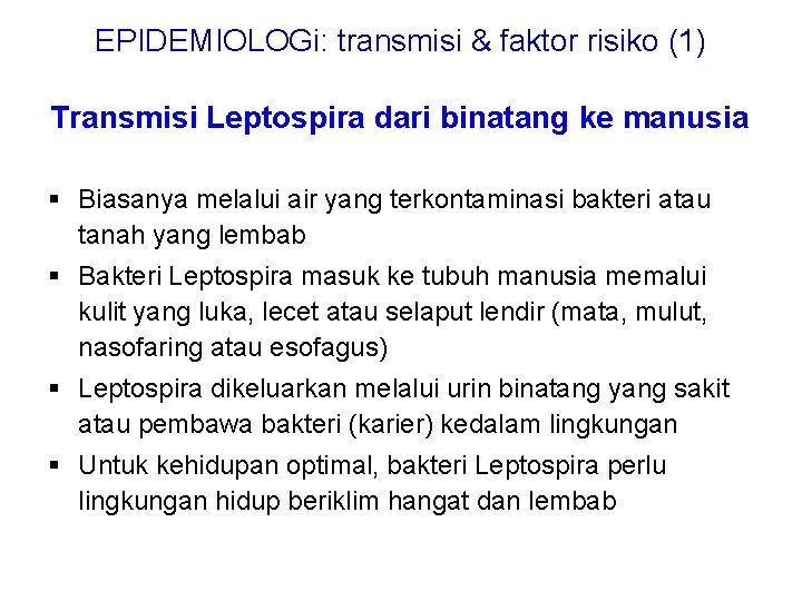 EPIDEMIOLOGi: transmisi & faktor risiko (1) Transmisi Leptospira dari binatang ke manusia § Biasanya