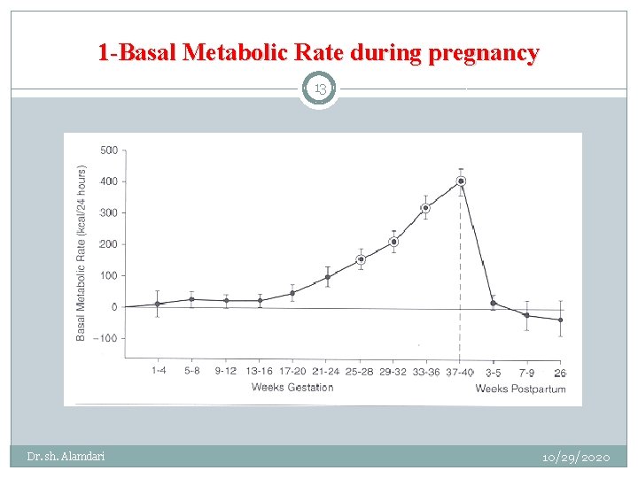 1 -Basal Metabolic Rate during pregnancy 13 Dr. sh. Alamdari 10/29/2020 