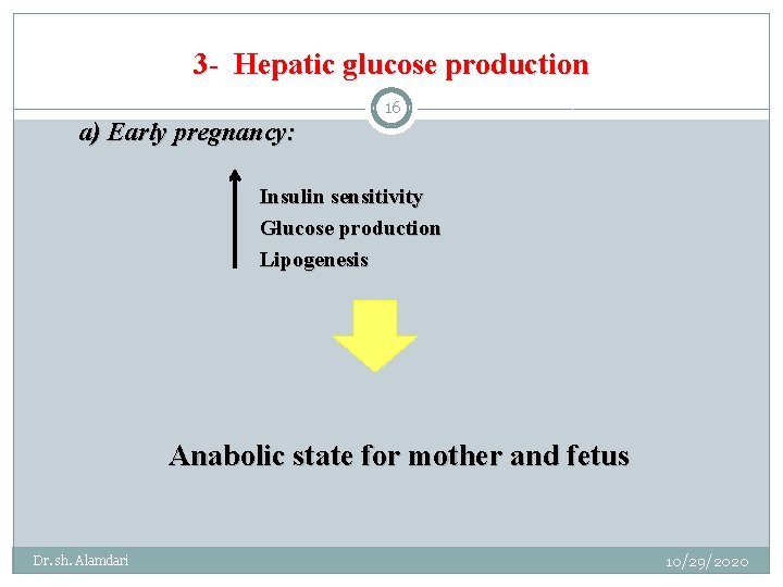 3 - Hepatic glucose production a) Early pregnancy: 16 Insulin sensitivity Glucose production Lipogenesis