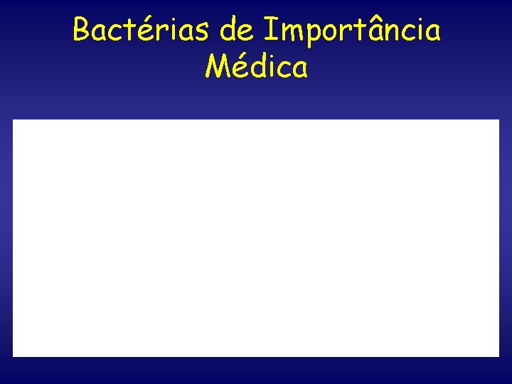 Bactérias de Importância Médica 
