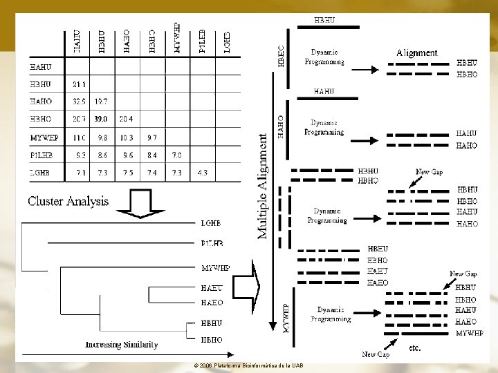 © 2006 Plataforma Bioinformàtica de la UAB 