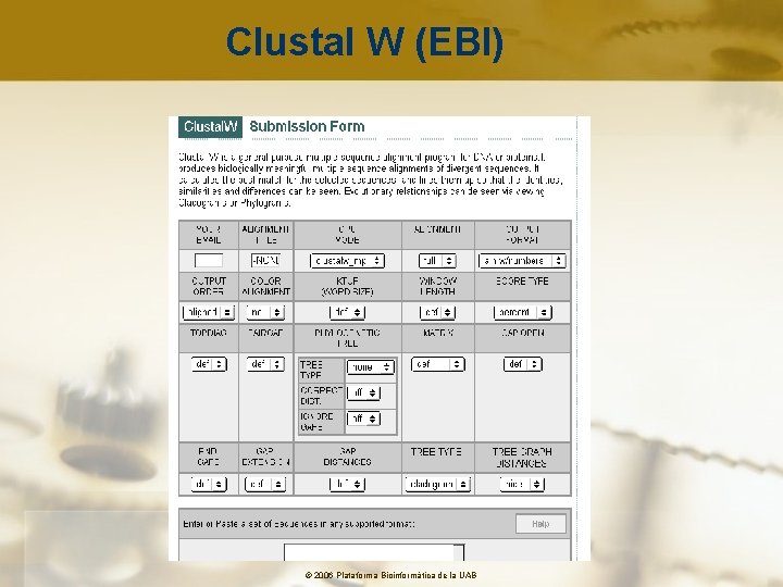 Clustal W (EBI) © 2006 Plataforma Bioinformàtica de la UAB 