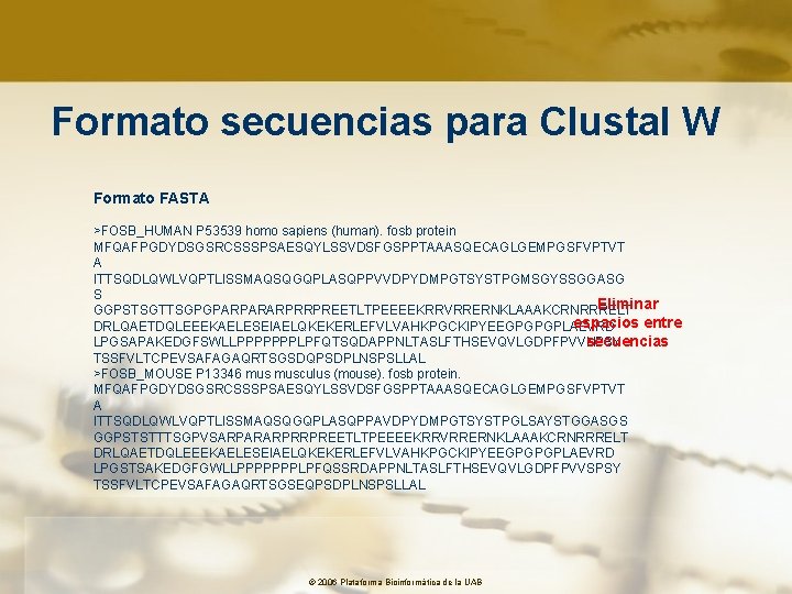 Formato secuencias para Clustal W Formato FASTA >FOSB_HUMAN P 53539 homo sapiens (human). fosb
