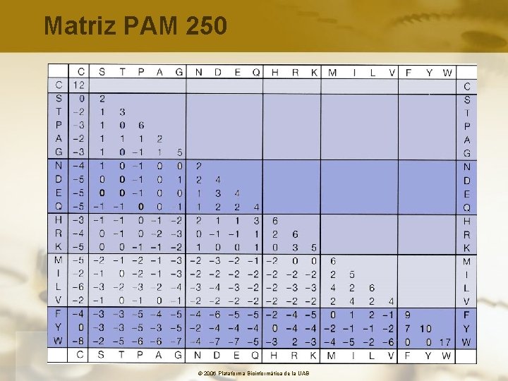 Matriz PAM 250 © 2006 Plataforma Bioinformàtica de la UAB 