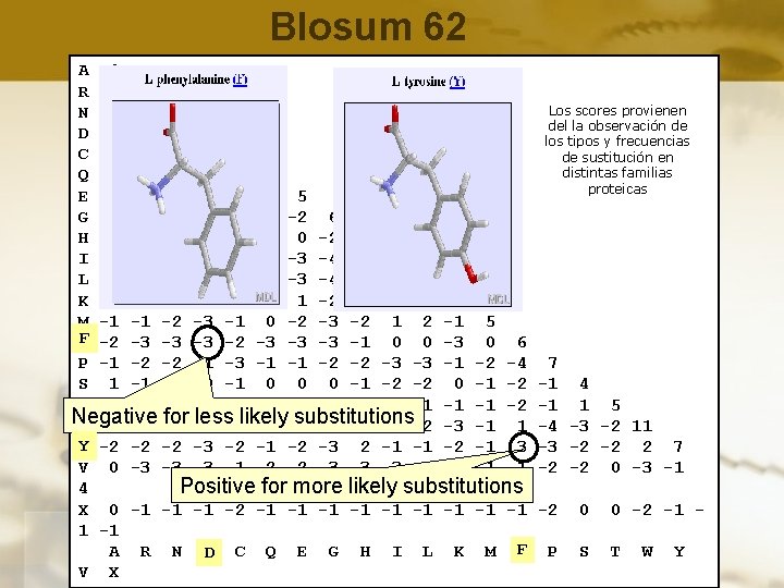 Blosum 62 A 4 R -1 5 Los scores provienen N -2 0 6