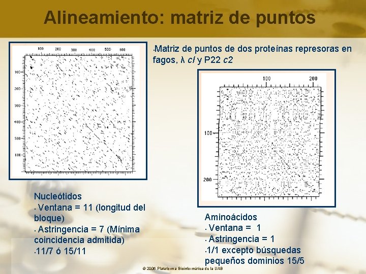 Alineamiento: matriz de puntos Matriz de puntos de dos proteínas represoras en fagos, λ