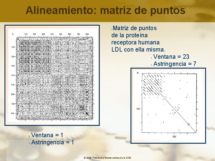 Alineamiento: matriz de puntos Matriz de puntos de la proteína receptora humana LDL con