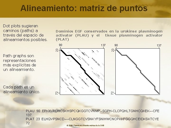 Alineamiento: matriz de puntos Dominios EGF conservados en la urokinse plasminogen activator (PLAU) y