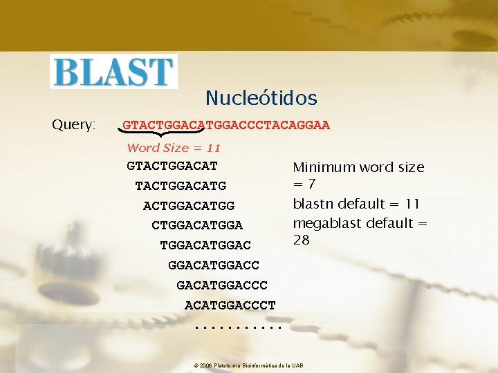 Nucleótidos Query: GTACTGGACATGGACCCTACAGGAA Word Size = 11 GTACTGGACAT TACTGGACATG ACTGGACATGG CTGGACATGGAC GGACATGGACC GACATGGACCC ACATGGACCCT