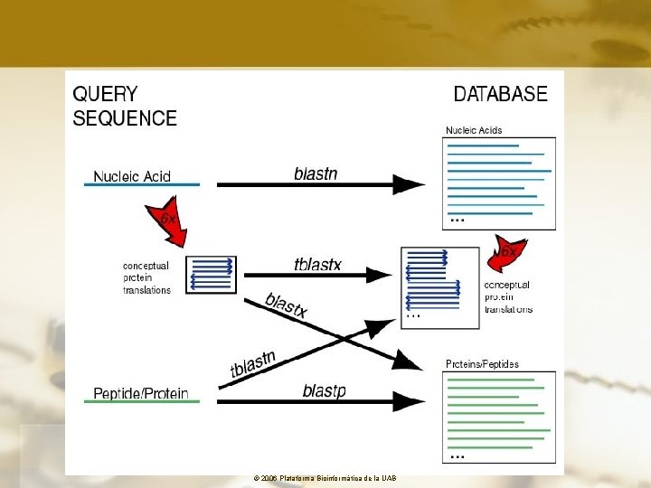 © 2006 Plataforma Bioinformàtica de la UAB 