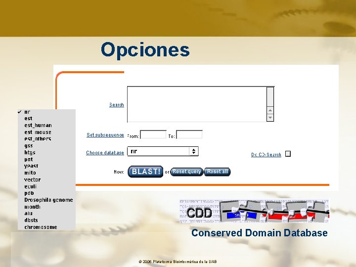 Opciones Conserved Domain Database © 2006 Plataforma Bioinformàtica de la UAB 