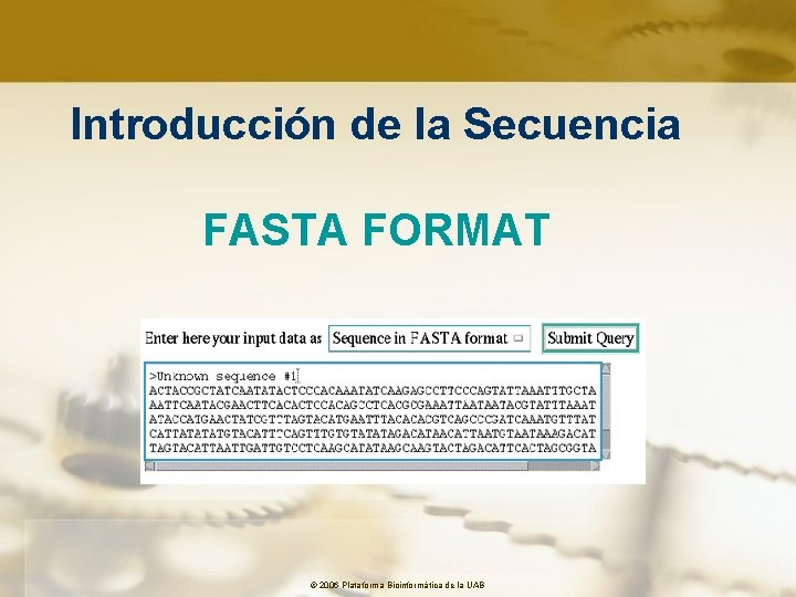 Introducción de la Secuencia FASTA FORMAT © 2006 Plataforma Bioinformàtica de la UAB 