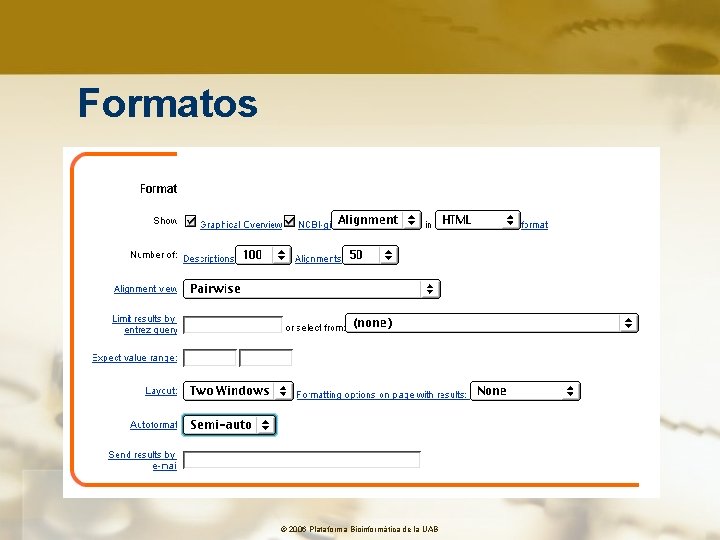 Formatos © 2006 Plataforma Bioinformàtica de la UAB 