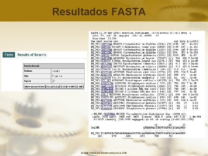 Resultados FASTA © 2006 Plataforma Bioinformàtica de la UAB 