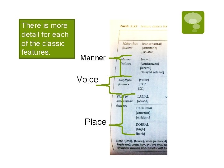 There is more detail for each of the classic features. Manner Voice Place 