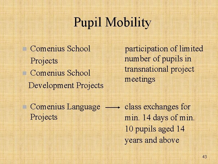 Pupil Mobility Comenius School Projects n Comenius School Development Projects n n Comenius Language