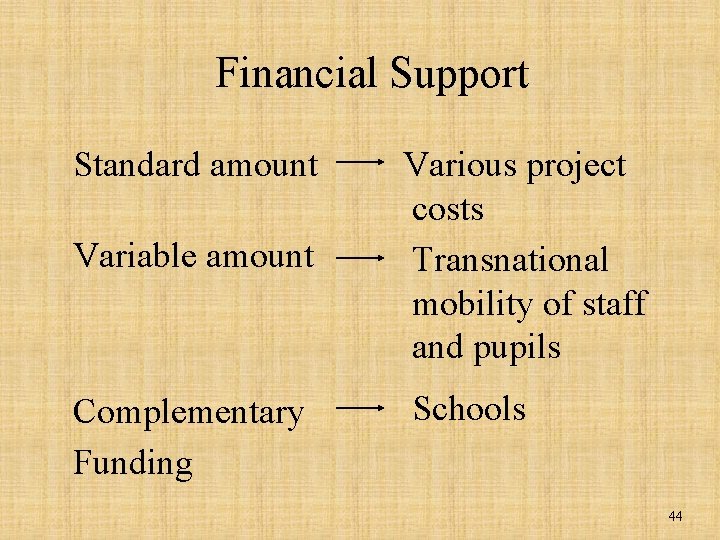 Financial Support Standard amount Variable amount Complementary Funding Various project costs Transnational mobility of