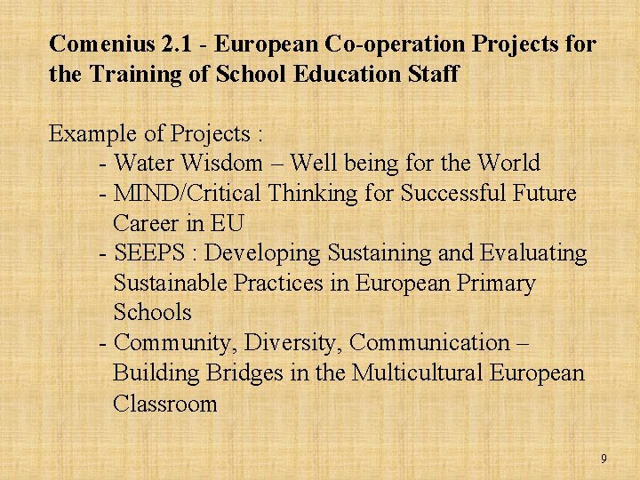 Comenius 2. 1 - European Co-operation Projects for the Training of School Education Staff