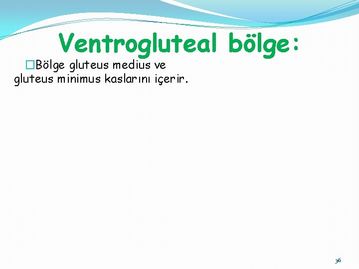 Ventrogluteal bölge: �Bölge gluteus medius ve gluteus minimus kaslarını içerir. 36 