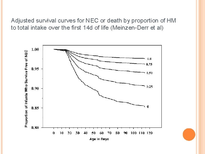 Adjusted survival curves for NEC or death by proportion of HM to total intake