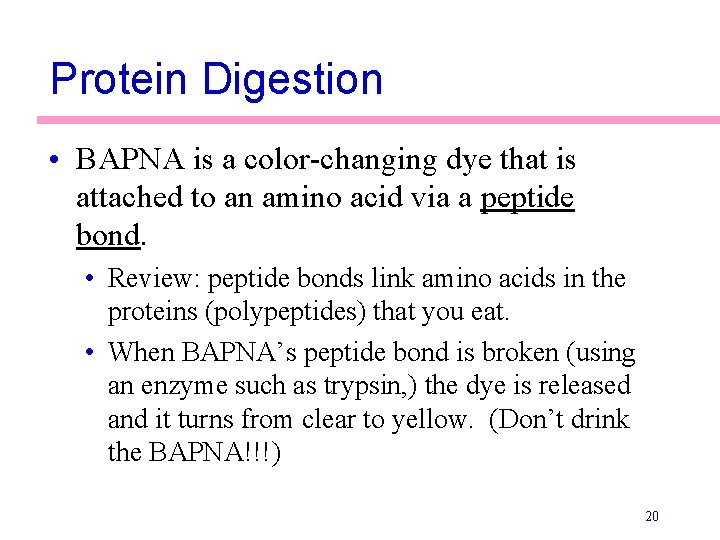 Protein Digestion • BAPNA is a color-changing dye that is attached to an amino