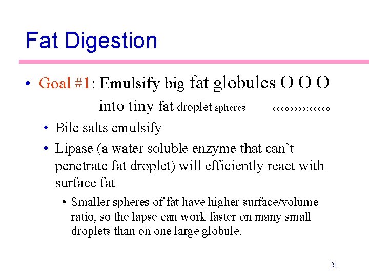 Fat Digestion • Goal #1: Emulsify big fat globules O O O into tiny