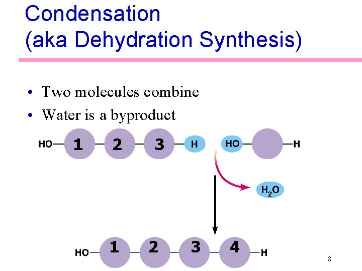 Condensation (aka Dehydration Synthesis) • Two molecules combine • Water is a byproduct 1